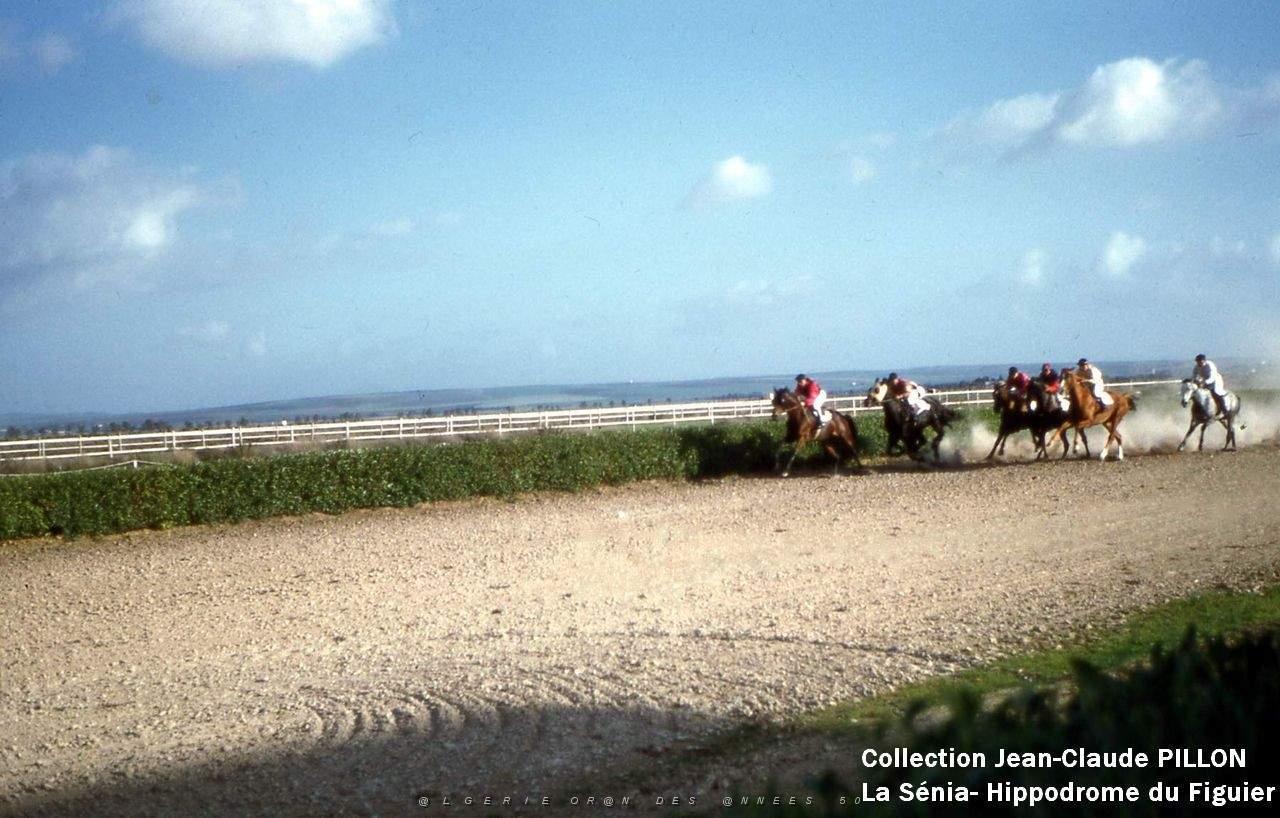 LA SENIA COURSES CHEVAUX4.jpg